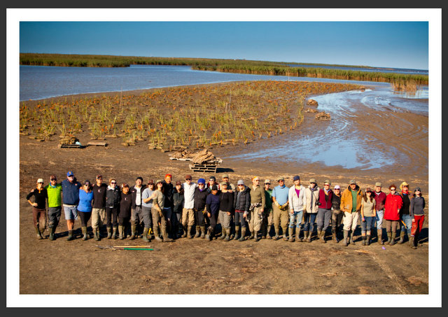 Buttermilk.site.team.mangrove 2