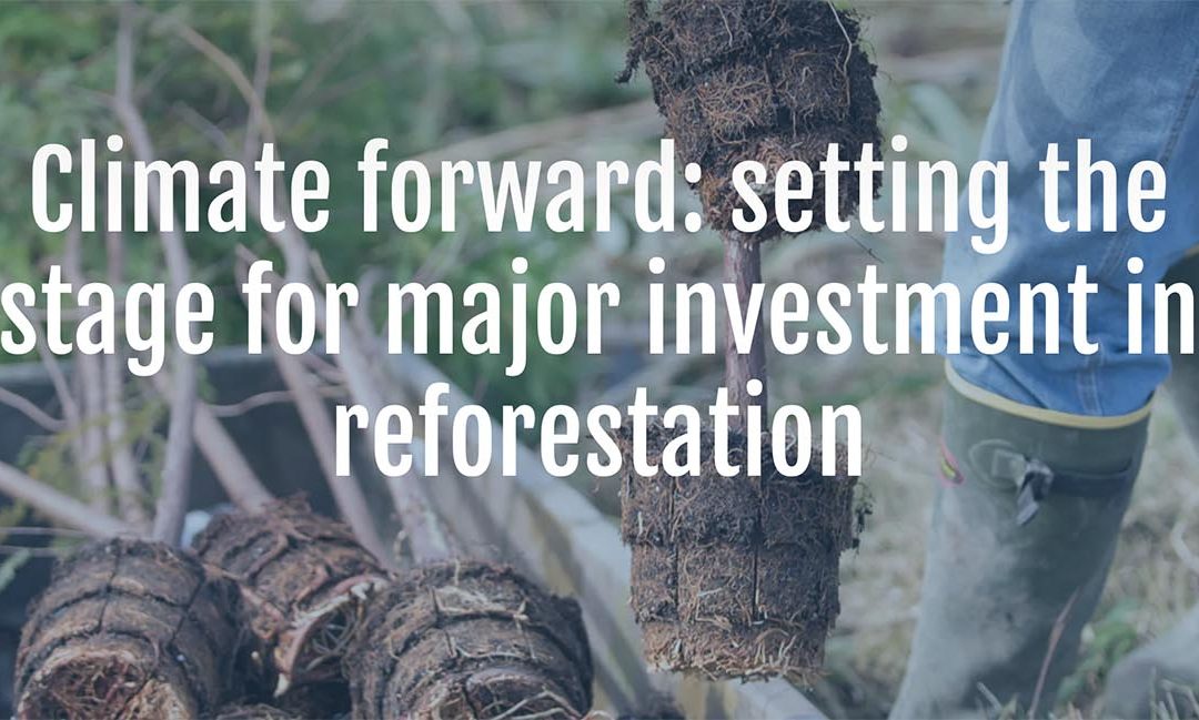 Climate Forward: Setting the Stage for Major Investment in Reforestation