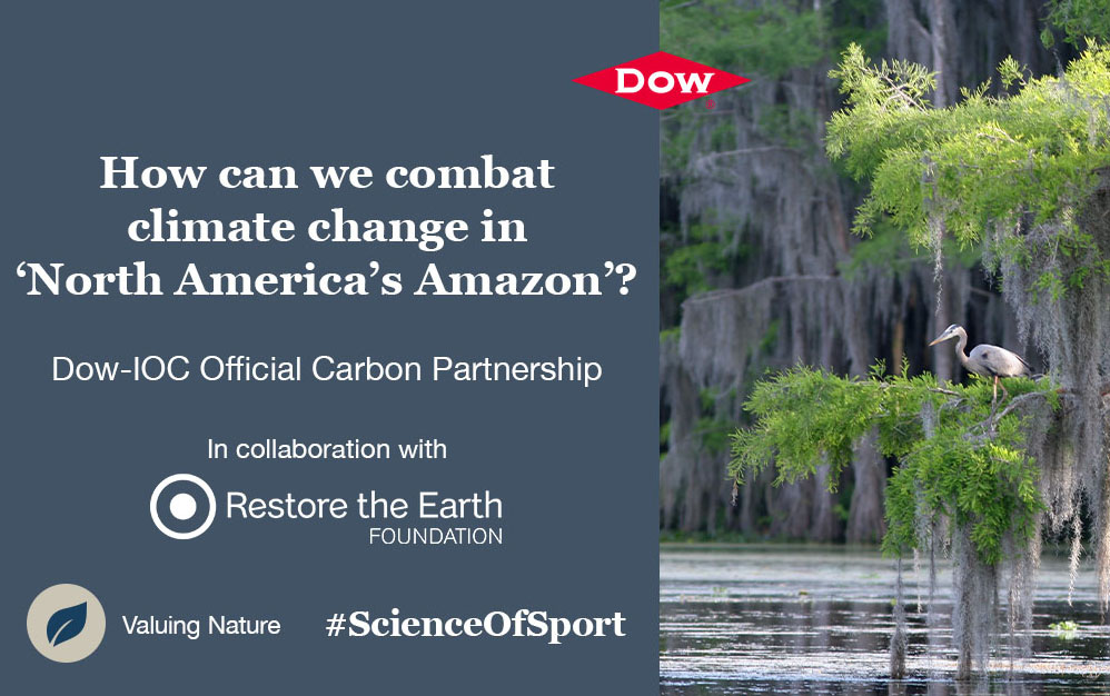 Dow teams up with Restore the Earth Foundation to revitalize North America’s Amazon